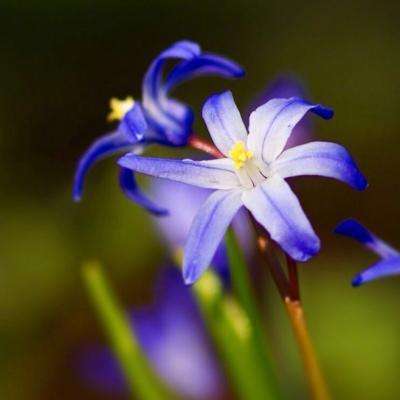 开云网kaiyun手机app下载截图