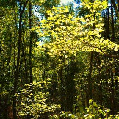 半岛官方体育网页登录