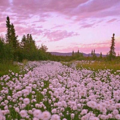 乐虎国际下载手机版