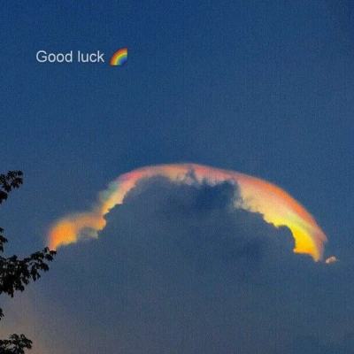 小罗代言米乐体育app下载手机版